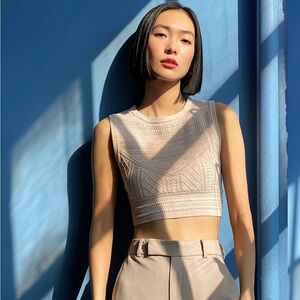 Aritzia Babaton top